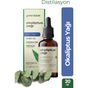 Green Label 20 ml Okaliptus Yağı