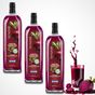 Hanzade Bitkisel 1x3 lt Fermente Kırmızı Pancar