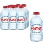 Hayat 0.33 ml Doğal Mineralli Su