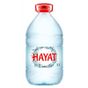 Hayat 5lt Su