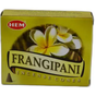Hem Plumeria Çiçeği Kokulu 10 Konik Tütsü