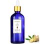 Herbs & Oils 100 ml Zencefil Yağı