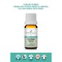 Intense Natural 10 ml Defne Yaprağı Uçucu Yağı