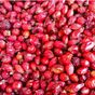 İpek Gurme 1 kg Kuşburnu Kurusu