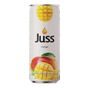 Juss 250 ml Mango Meyveli İçecek