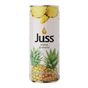 Juss Ananas 250 ml Meyveli İçecek