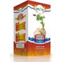 Just Cheap Store 150 gr Kereviz Tohumlu Prst Çayı
