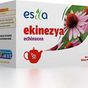 Just Cheap Store 20'li Ekinezya Çayı