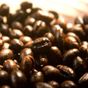 Kahveinn 700 gr İtalyan Çekim Espresso Kahve