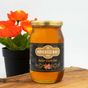 Köyceğiz Bahar Çiçek Balı 450 gr