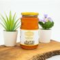 Köyceğiz Kekik Balı 450 gr