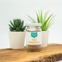 Köyceğiz Yöresel Toz Propolis Cam Kavanoz 50 gr