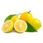 Lamas Limon