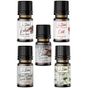 Le Balvo 10 ml Beyaz Çiçek + Buket Çiçeği + Çikolata + Çilek + Kahve Uçucu Yağ