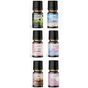 Le Balvo 10 ml Hanımeli + Okyanus + Frekans + Japon Çiçeği + Sandal + Pudra Buhurdanlık Esansı