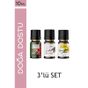 Le Balvo 10 ml Kahve + Mesnevi Gülü + Ylang Ylang Uçucu Yağ