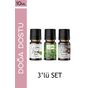 Le Balvo 10 ml Paçuli + Çikolata +Yeşil Çay Buhurdanlık Esansı