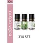 Le Balvo 10 ml Paçuli + Yeşil Çay + Nane Buhurdanlık Esansı