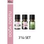 Le Balvo 10 ml Vadi Zambağı + Vanilya + Yeşil Çay Uçucu Yağ