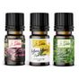 Le Balvo 10 ml Yeşil Çay + Ylang Ylang + Zeytin Çiçeği Uçucu Yağ