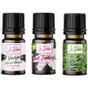 Le Balvo 3x10 ml Vanilya + Vadi Zambağı + Yeşil Çay Uçucu Saf Buhurdanlık Esansı