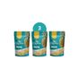 Little Crunchies 3x30 gr Freeze Dried Dondurularak Kurutulmuş Ananas