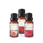 Lofty 10 ml Gül, Bahçe Gülü, Amber Romantik Uçucu Yağ Buhurdanlık Esans Oda Kokusu