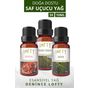 Lofty 10 ml Sedir Sandal Yüksek Frekans Uçucu Yağ Buhurdanlık Esansı Oda Kokusu