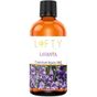 Lofty Lavanta Uçucu Yağ Buhurdanlık Esansı 100 ml Oda Kokusu