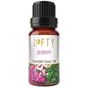 Lofty Şebboy 10 ml Uçucu Yağ Buhurdanlık Esansı Oda Kokusu