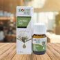 Lokman Aktar 20 ml Çay Ağacı Yağı