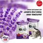 Magic Power Lavanta Kokulu 25 gr Toz Koku Giderici