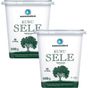 Marmarabirlik Kuru Sele Siyah Zeytin 321-350 (Xs) 800 gr Pet 2'li