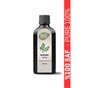 Masala 100 ml Moringa Yağı