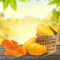 Memleket Gurmesi 1 kg Dilimli Mango Kurusu
