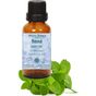 Minia Bahçe 10 ml Nane Uçucu Yağı