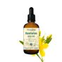 Minia Bahçe 30 ml Sarı Kantaron Kalıcı Yağı