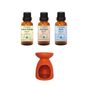 Minia Bahçe Limon Kabuğu Yağı 10 ml + Portakal Yağı 10 ml + 10 ml Nane Yağı
