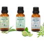 Minia Bahçe Limon Otu Yağı 10 ml +Bergamot Yağı 10 ml +10 ml Adaçayı Yağı