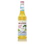 Monin 700 ml Şekersiz Vanilya Aroması