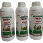 Morning Fresh 3x1 lt Lok-Tem Klasik Temizleyici