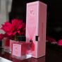 Mouvement 100 ml Pudra Bambu Çubuklu Oda Kokusu