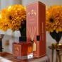 Mouvement Amber Esintisi 100 ml Çubuklu Oda Kokusu