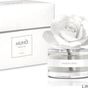 Muha Water and Salt Diffuser 50 ml Rosa Ambient Freshener