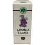 Murat Çubukçuoğlu 10 cc Lavanta Esansı