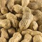 Natural Köy Ürünleri 1 kg Tuzlu Kabuklu Yer Fıstığı