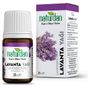 Naturdan 20 ml Lavanta Yağı