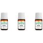 Naturdan 3x15 ml Tahıl Aroması