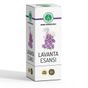 Neşe Natural 10 cc Lavanta Esansı