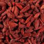 Nicer Bite 1 kg Goji Berry Kurusu